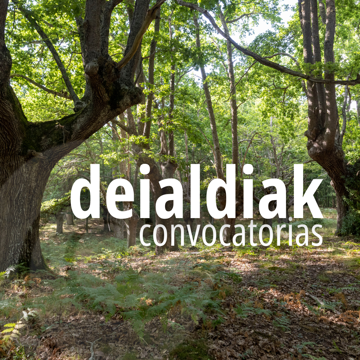 convocatorias (1200 x 1200 px)